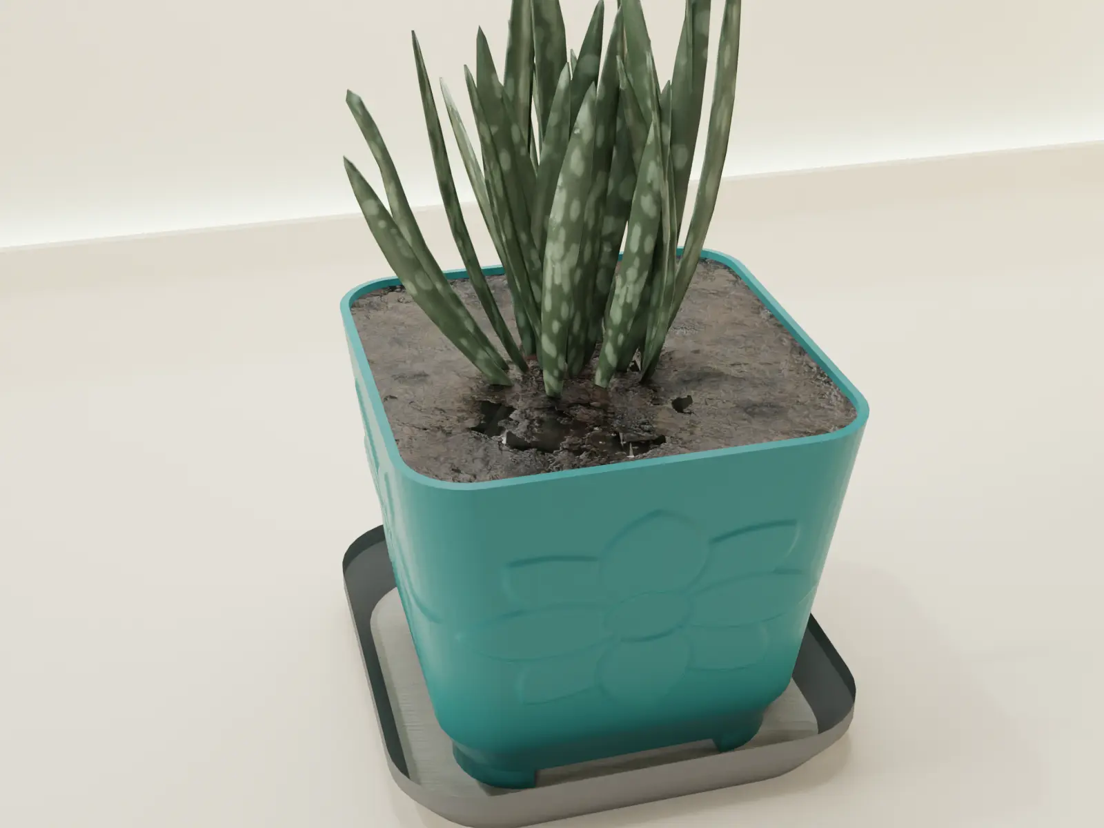 plant pot with tray 65