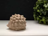 Low Poly Sleeping Hedgehog-7