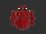 Jumping spider-6