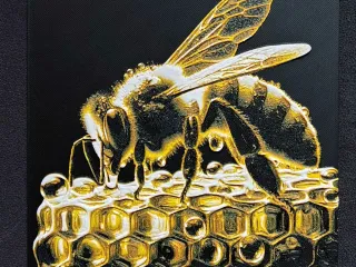 Bee & Honey