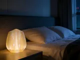 Seashell Night Light-2