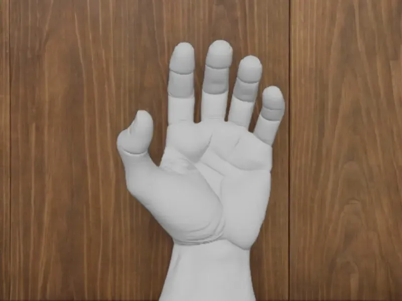 Hand