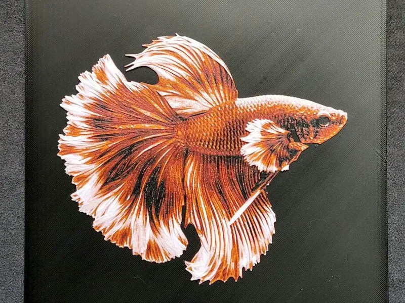 Betta fish