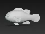 Nemo fish-3