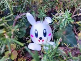 Eggunny = Easter Egg + Bunny! 🥚🐰-2