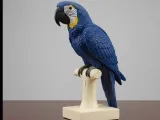 Arara azul de lear-1
