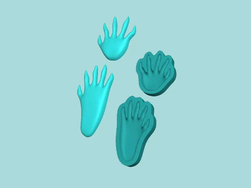 Raccoon Footstep - Silicone Mold -Template