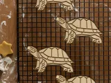 Turtle Cookie Cutter, Biscuit Cutter-1