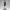 Officer Valeria Steele – Confident Police Officer Figurine
