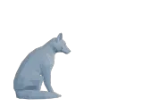Low Poly Fox-4