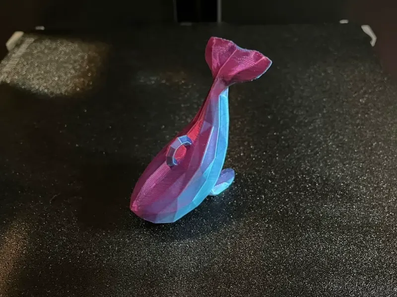 BALENA BASSO POLYESTERE