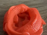 Koi fish-3
