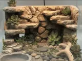 rock wall-1