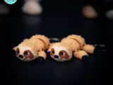 Little Sloth Flexi Multicolor 3MF-1