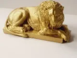 lion-6