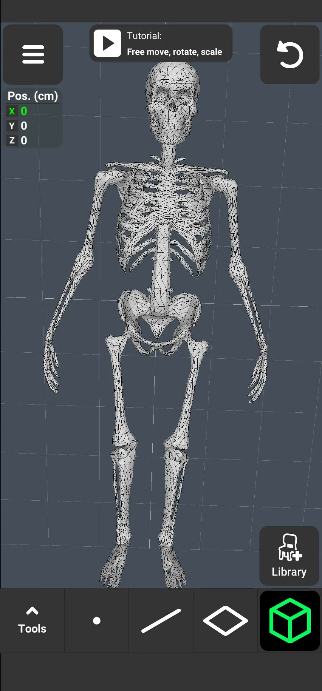 Halloween skeleton