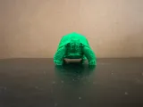 Tortoise-3