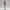 Sienna Voss – Crimson Poise Edition