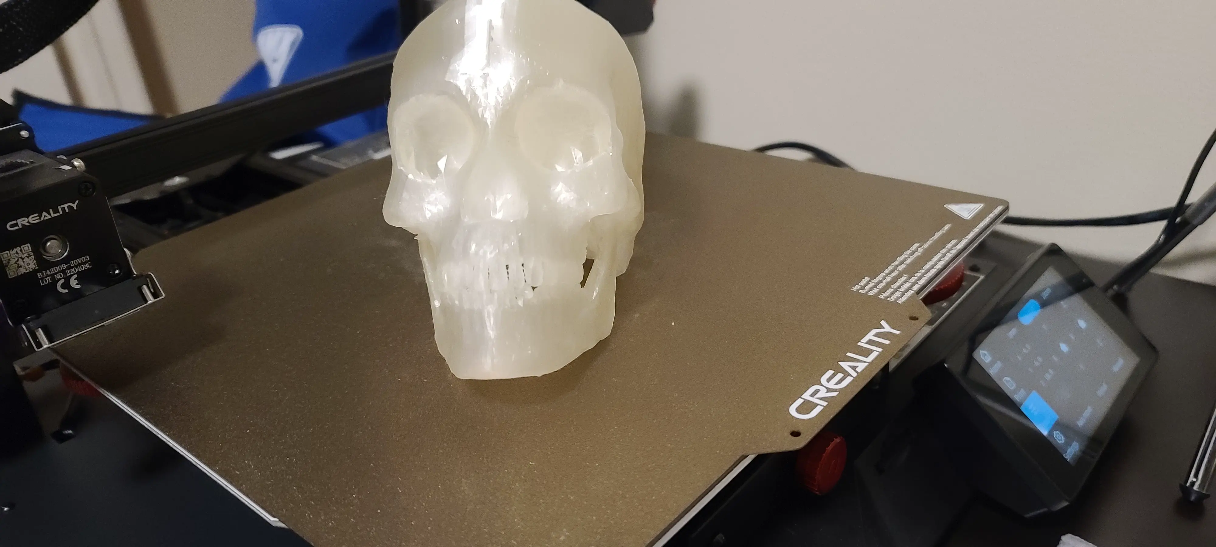Skull Imported from Microsoft 3D Builder