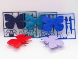 Butterfly Kit Card-0