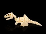 Skull velociraptors-1
