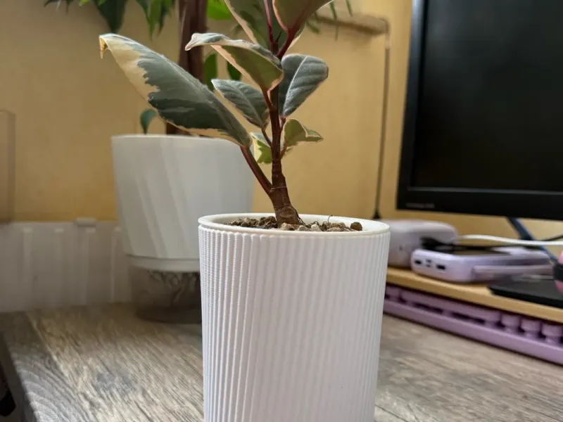 Pot de fleurs