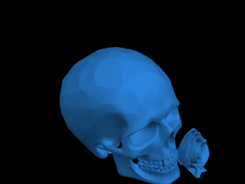 skull