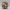 Cozy Woodland Hedge Orb – Noah0x03