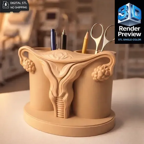 Uterus Desk Organizer STL