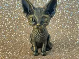 Cute Devon Rex-3