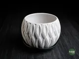 velar • planter-1