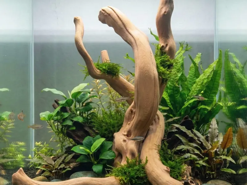 Realistic Aquarium Wood (Spider wood - drift wood)