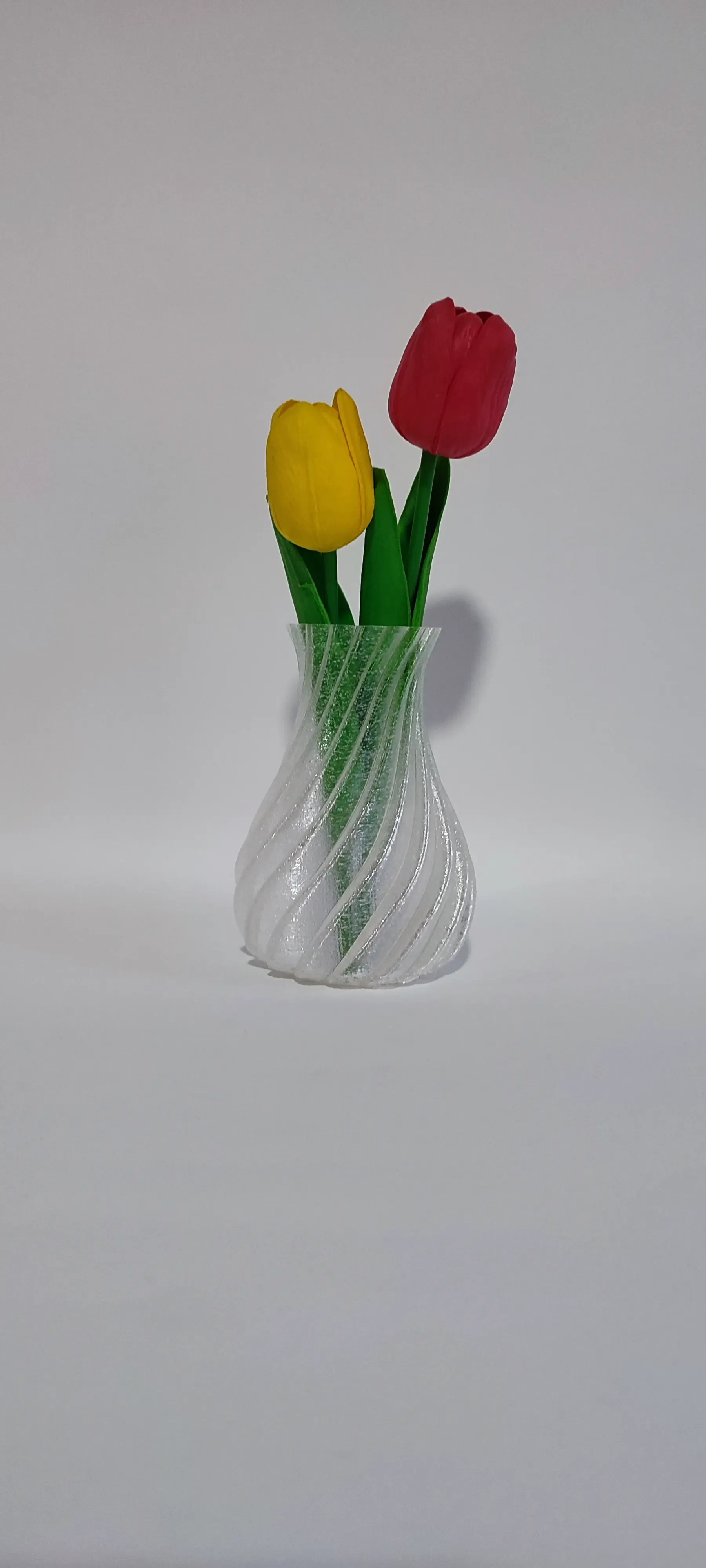 Trasparent Vase