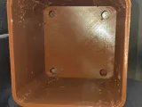 MINOTAURE - PLANTER-4