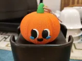 Knitted pumpkin-beibei（编织南瓜贝贝）-1