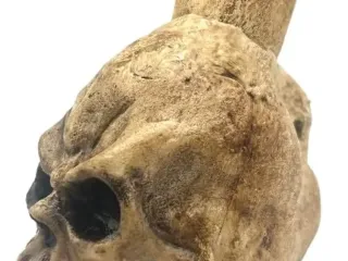 Mayan death whistle