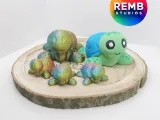 Cute Turtle-4