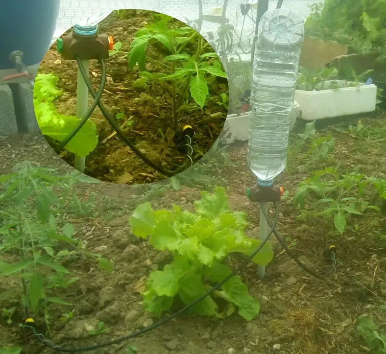 Chainable drip irrigation system for water bottle