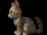 Cute cat-1