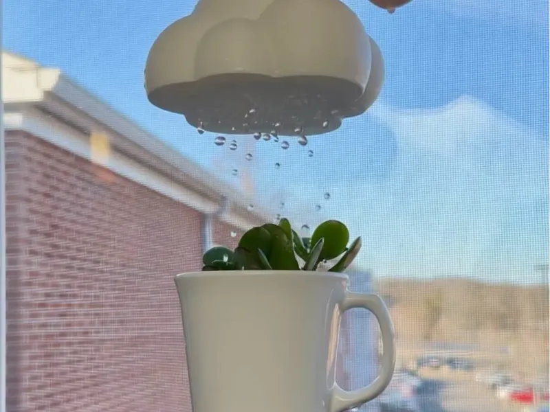 Cloud Watering Bell