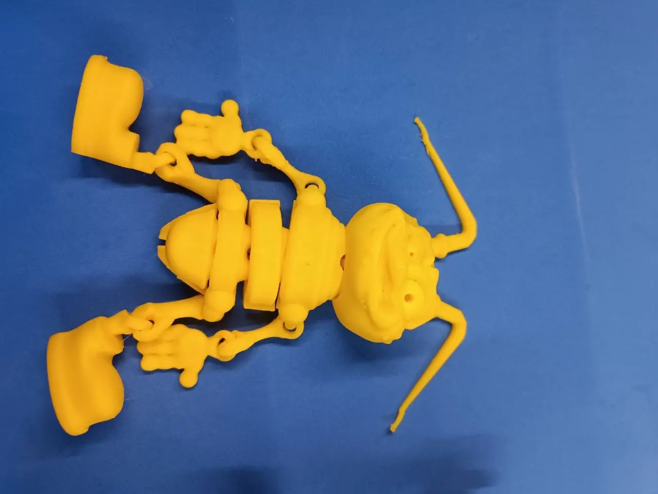 CUCARACHA FLEXI PRINT-IN-PLACE
