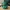 Rubber Duck - Statue of Liberty model - 3D print
