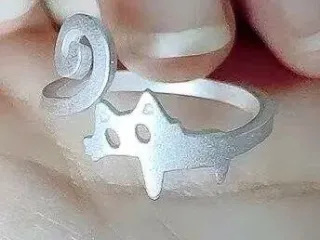 Kitten ring, a parody of a predecessor小猫戒指，对前辈拙劣的模仿