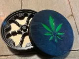 Seed germination for cannabis seeds-1