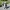 Falconer Gnome – Master of the Skies