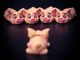 Pig Flexi-1