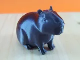 Capibara-0