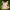 pokemon sylveon chubby