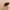 Wandhouder voor Creality-camera door ST3MP