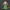 Roronoa Zoro - One Piece